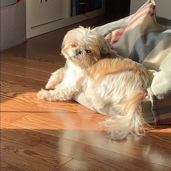 Meet your Posher, Gabs - Picture 1 of 1